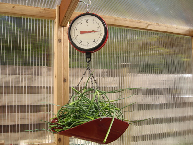scapes scale.jpg