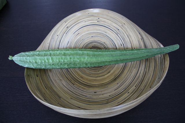 sumgourd.jpg